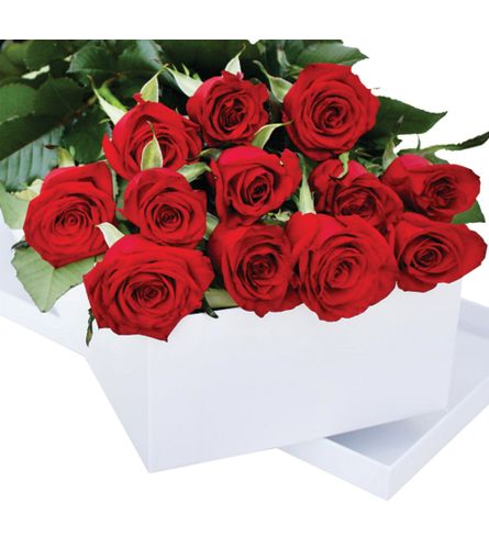 Beautiful Boxed Long Stem Roses