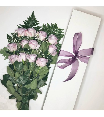 One Dozen Purple Roses Boxed