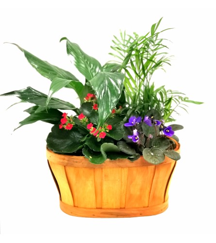 Country Homestead Basket Garden