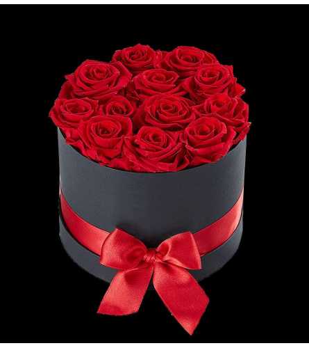 12 Preserved Red Roses in Black Box