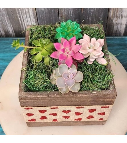 Valentine succulent scape