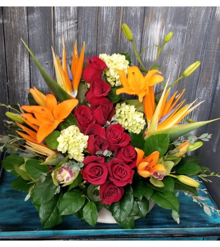 Tropical Mother's Day. An arrangement by Prosper Blooms.
