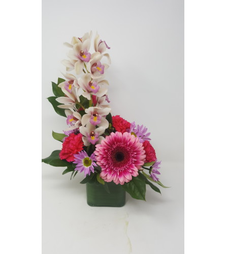 Smart Orchid Nouveau