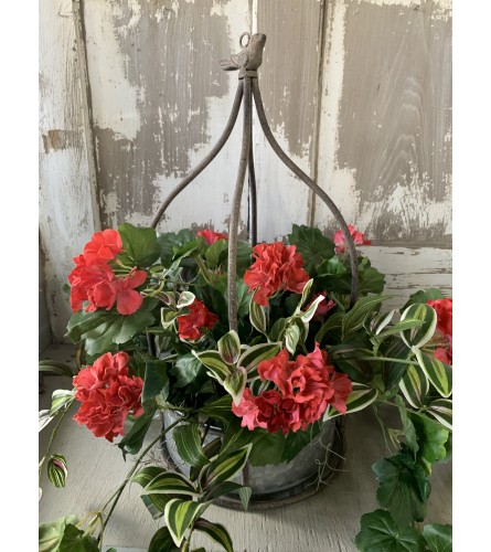 Pink Geranium Hanging Basket. An arrangement by Metcalfe Florist and Pleasant View Greenhouses.