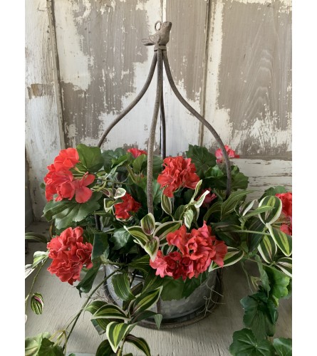 Pink Geranium Hanging Basket