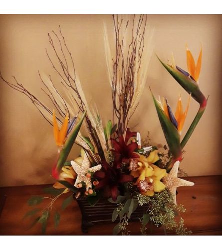 Tropicals