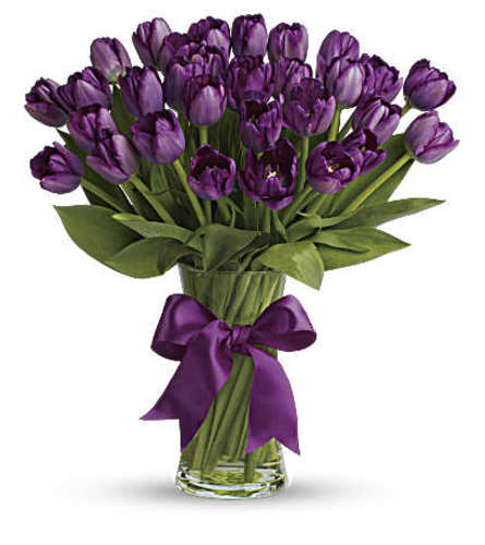 Spray of purple tulips - Standard. An arrangement by Santa Fe Florals and Events.