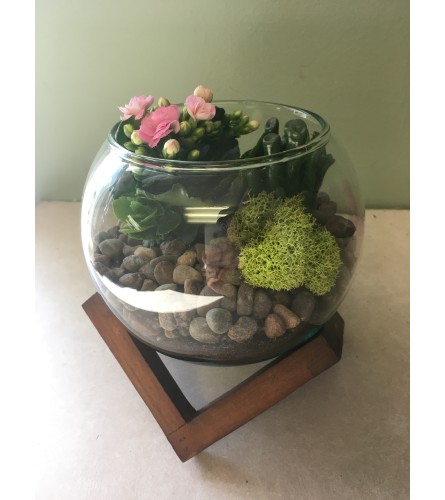Succulent and Plant Arrangement. An arrangement by Flowers by Anna.