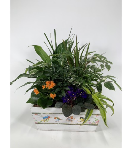 Playing birds. An arrangement by DMP Flowers and Gifts.