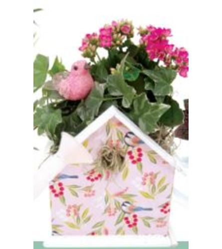 Cortez Bird House Planter