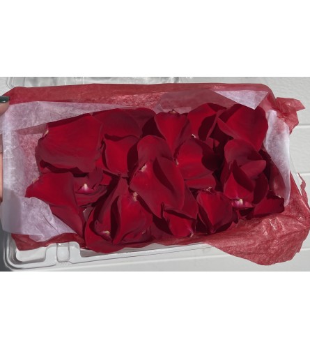 FRESH RED ROSE PETALS IN BOX