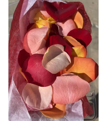 FRESH MIXED COLOR ROSE PETALS