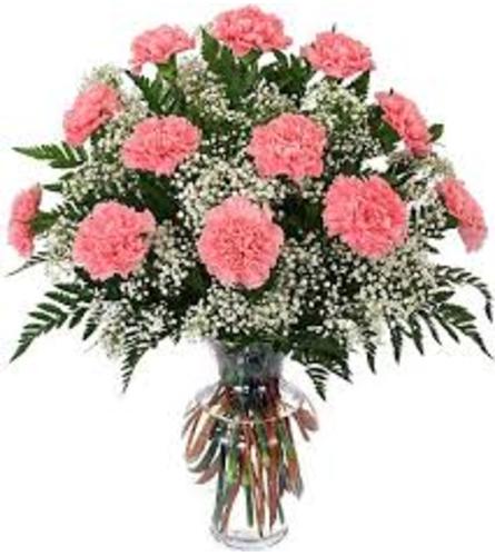 Pretty in Pink Carnations 2022