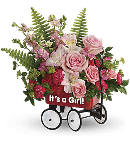 Welcome Beautiful Wagon- Baby Girl (Teleflora)