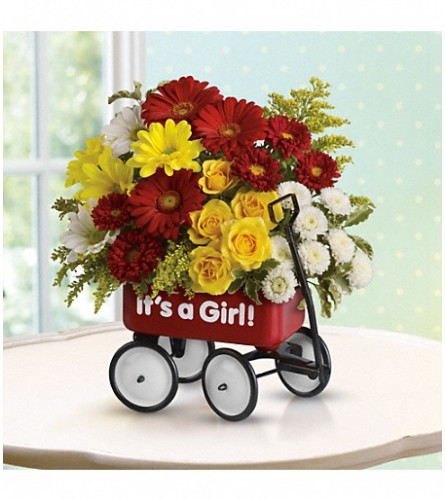 Baby Girl's Red Wagon (Teleflora) - Deluxe. An arrangement by North Liberty Flower Shop.