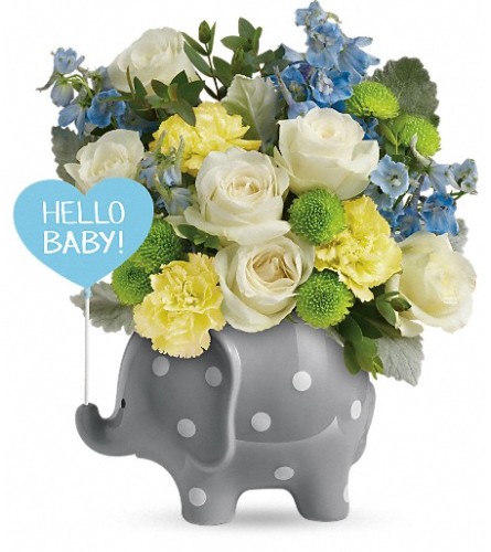 Teleflora's Hello Sweet Baby Boy - Blue