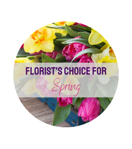 Desinger's Choice for Spring