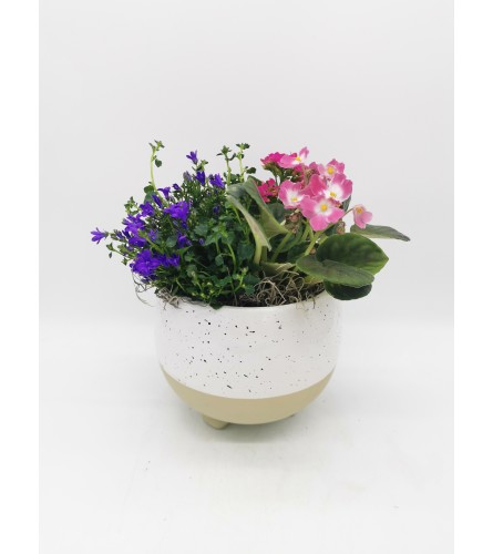 Speckled Egg Planter