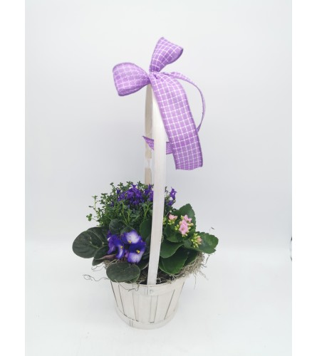 Blossoming Spring Basket. An arrangement by The Garden Gate Gifts and Florals.