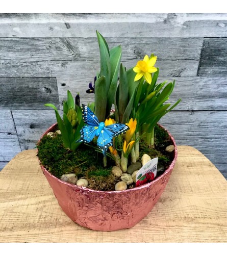 12" Large Spring Bulb Planter