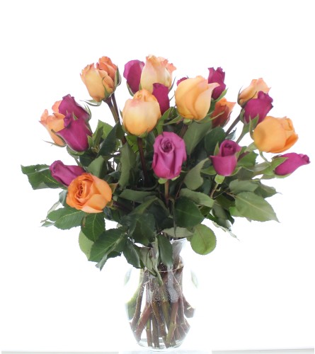 24 stem Mystery Color Rose. An arrangement by Red Rose Incredible Florist.