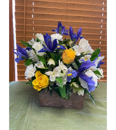 Basket mix with white, blue & yellow