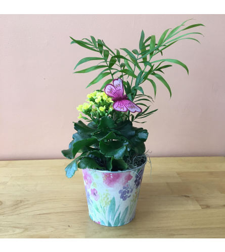 Spring Garden Flower Pot