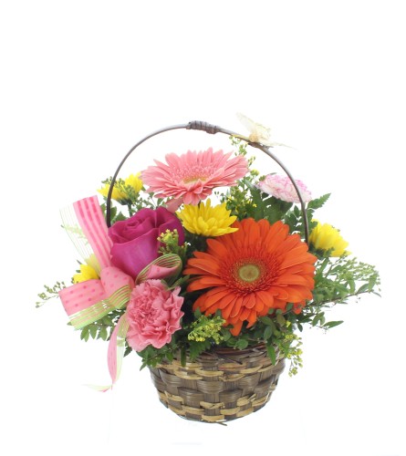 Thank you ! Basket. An arrangement by Red Rose Incredible Florist.