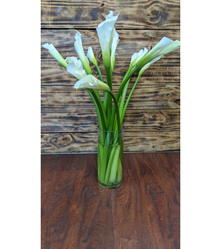 Ivory Calla Lilies