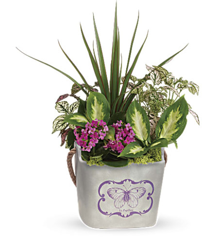 Butterfly Hideaway Planter