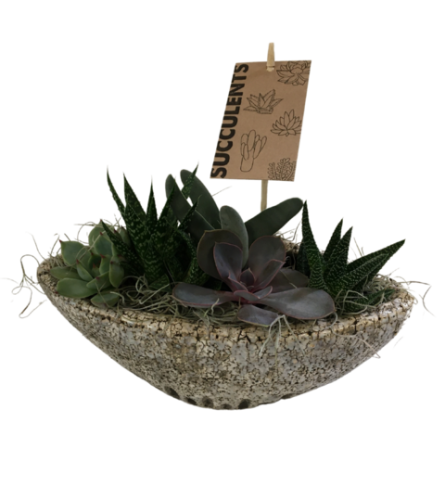 Stone Succulent Boat. An arrangement by The Garden Gate Gifts and Florals.