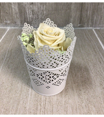 White Victorian Lace Preserved Rose