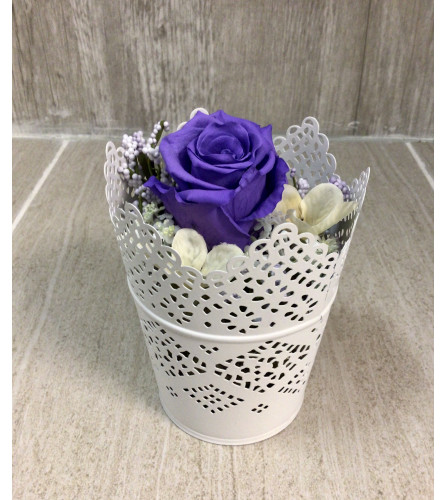 Purple Victorian Lace Preserved Rose. An arrangement by Roma Flowers and Gifts.