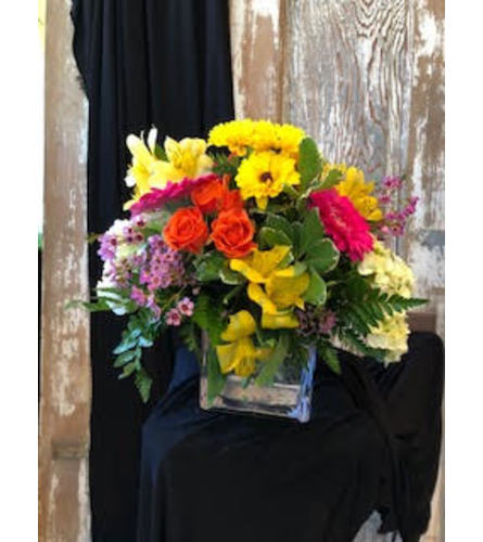 Color Splash Surprise. An arrangement by Appleblossoms.