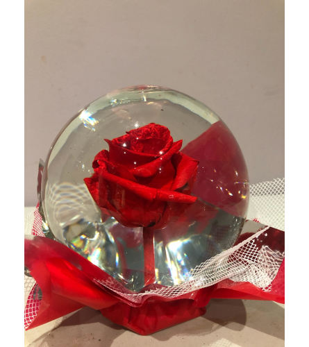 Eternity Red Rose Globe - Send to Bridgeport, CT Today!