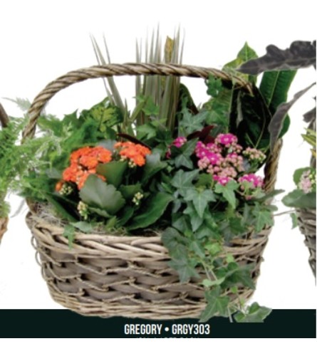 Gregory Planter