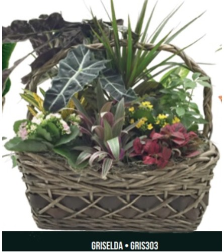 Griselda Planter