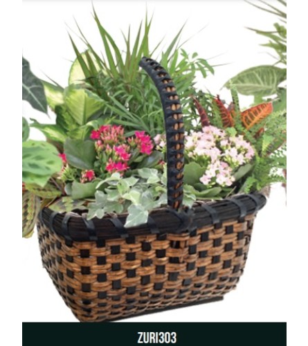 Zuri Planter Garden