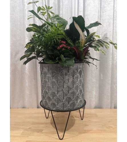 Blumz Large Planter