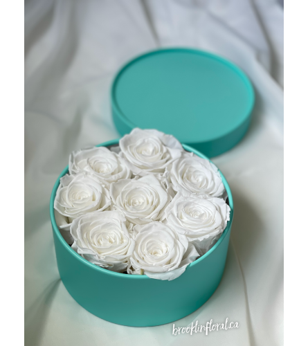 White Preserved Roses