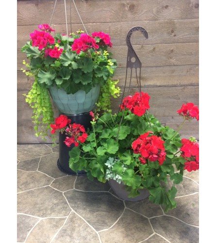 Hanging Outdoor Baskets