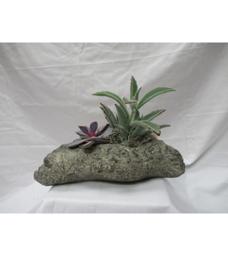 Succulent Log Planter