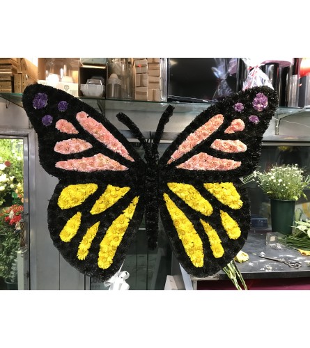 Butterfly Arrangement