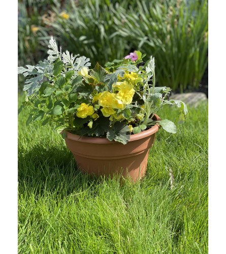 10" FLORIST CHOICE SEASONAL PATIO POT