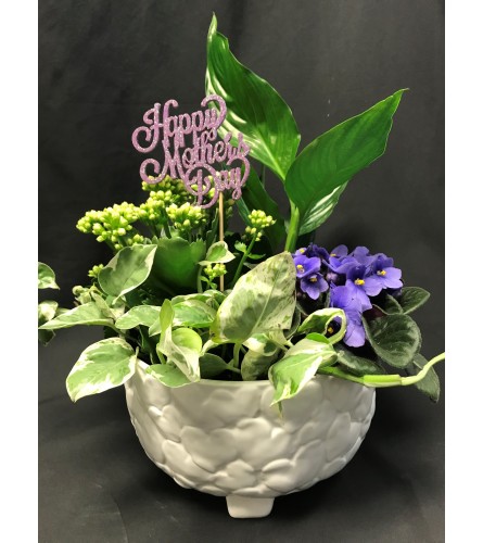 Ceramic Heart Planter. An arrangement by Blossoms On The Trail.