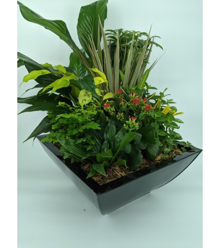 Blumz Medium Planter