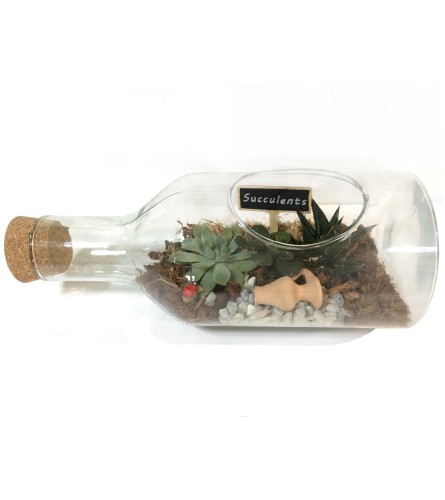 Succulent Champagne. An arrangement by Goodman's Florist.