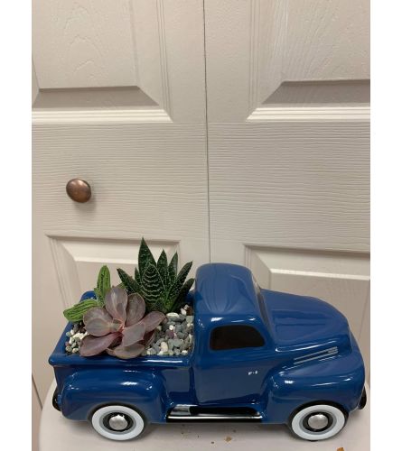 Succulent Truck