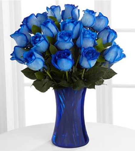 Extreme Blue Roses