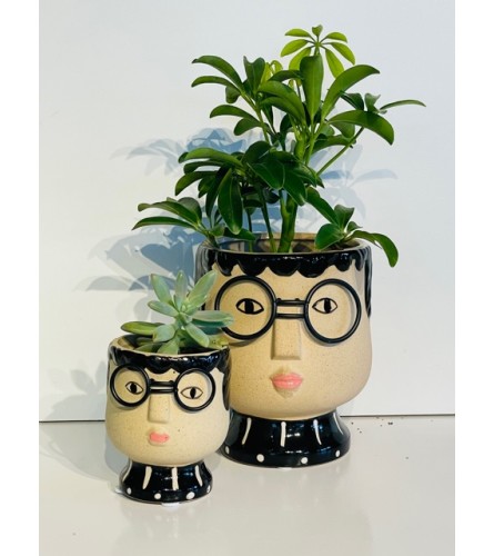 Smarty Plants!